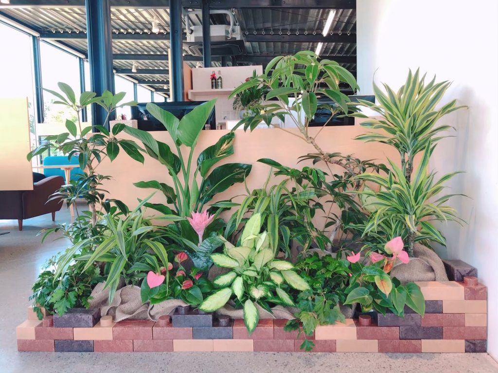 簡単diy 誰でも簡単に植物をオシャレに飾れる レンブロック 知ってますか グリーンテックの観葉植物コンシェルジュ