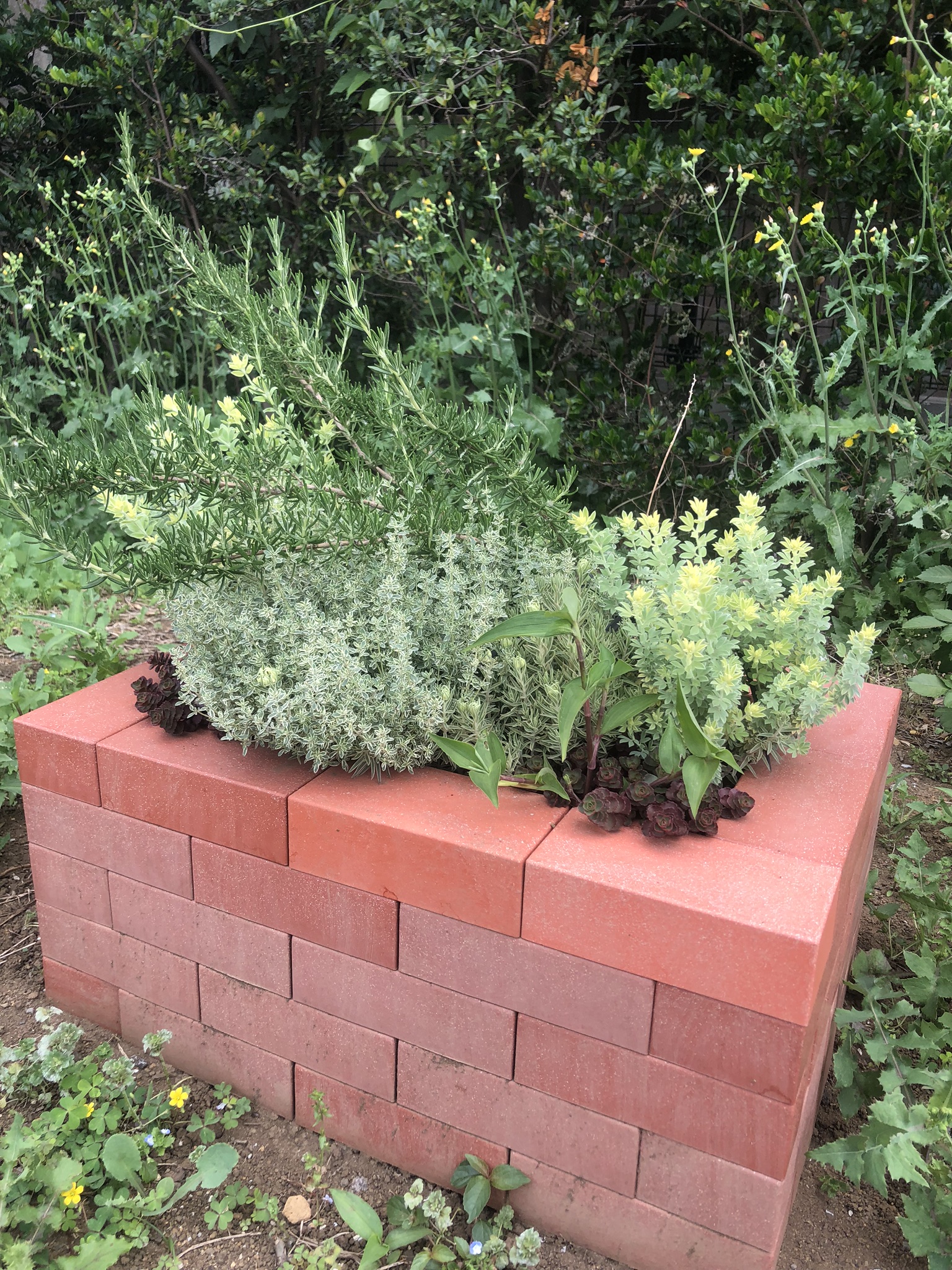 簡単DIY！誰でも簡単に植物をオシャレに飾れる“レンブロック”知ってますか？│グリーンテックの観葉植物コンシェルジュ