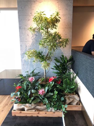 いい香り 芳香がする草花たち 5選 グリーンテックの観葉植物コンシェルジュ