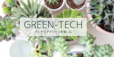 オフィスにレンタル観葉植物を置いて苦労のない癒しの空間に。