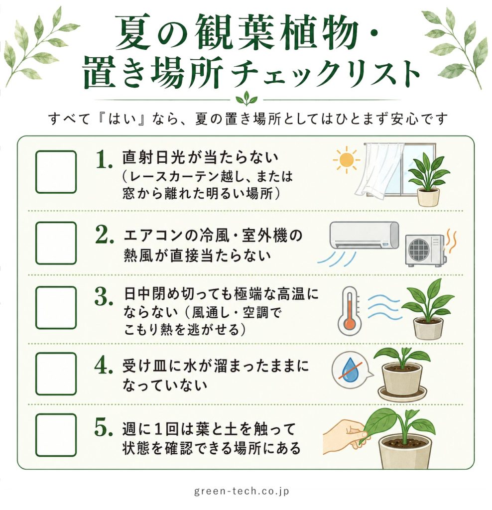観葉植物が夏に弱る3大トラブル｜葉焼け・水切れ・根腐れの見分け方と