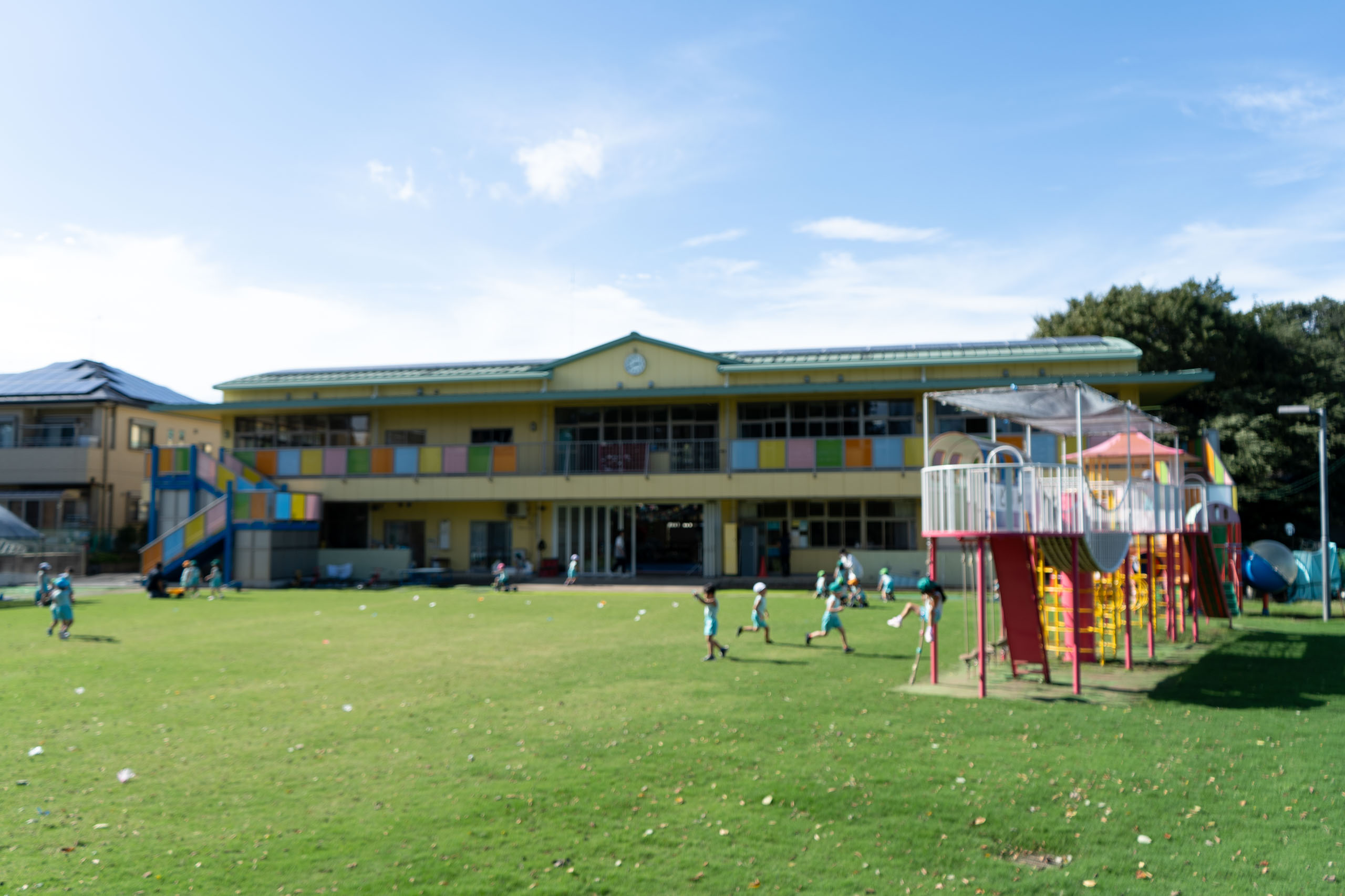 千葉県鎌ヶ谷市の幼稚園・鎌ヶ谷みどり幼稚園園庭の芝生施工・管理