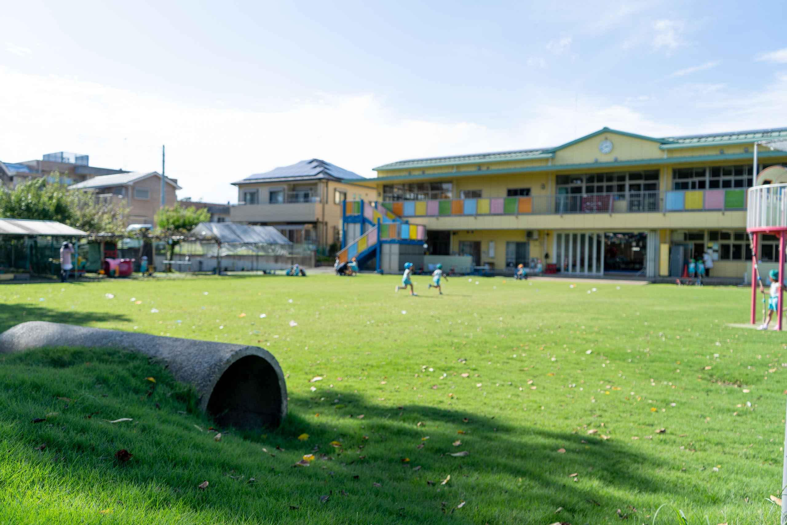 千葉県鎌ヶ谷市の幼稚園・鎌ヶ谷みどり幼稚園園庭の芝生施工・管理