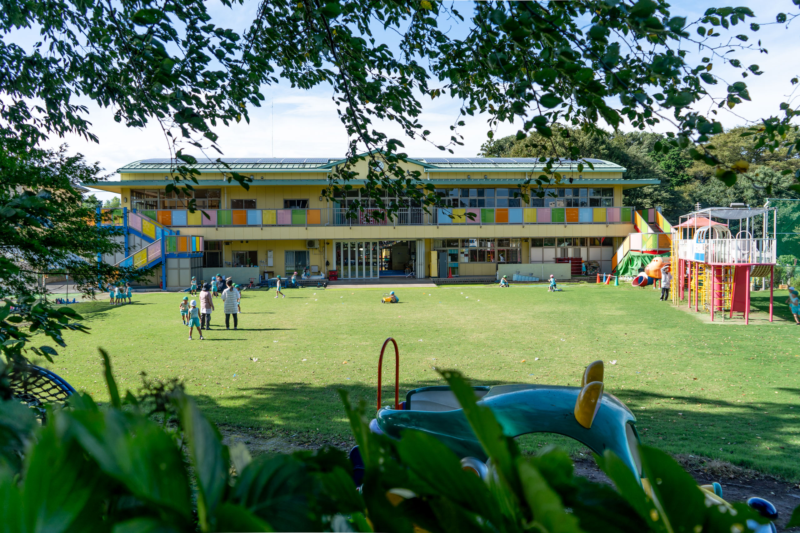 千葉県鎌ヶ谷市の幼稚園・鎌ヶ谷みどり幼稚園園庭の芝生施工・管理
